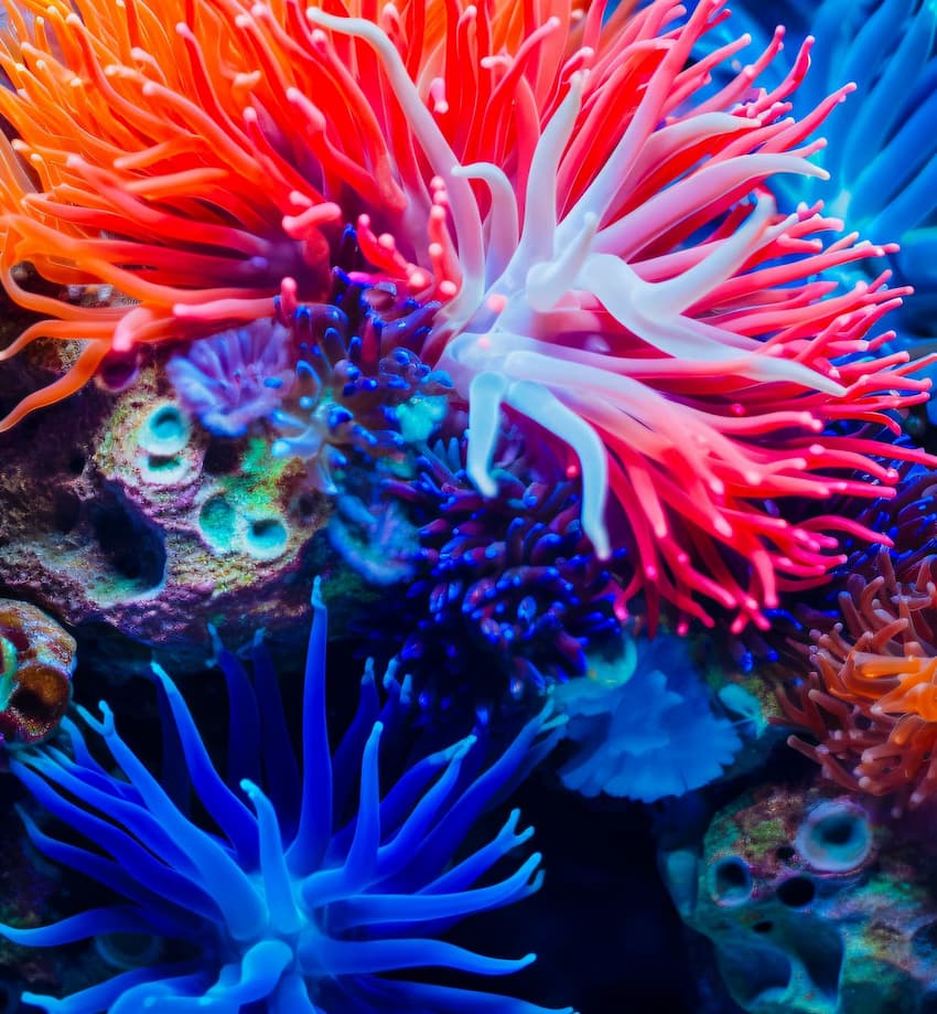 bild-pr-agentur-unten