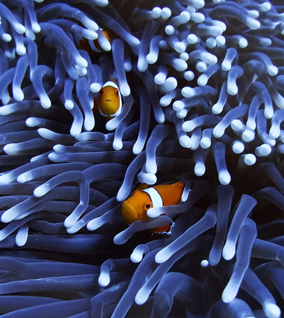 Social Media Beratung